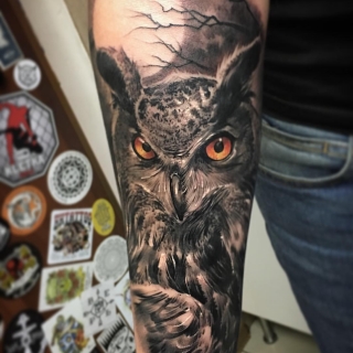 Филин / сова