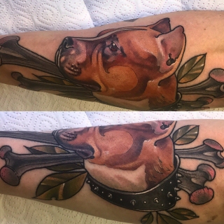 Собака