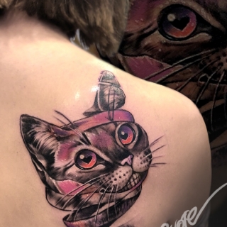 Кот
